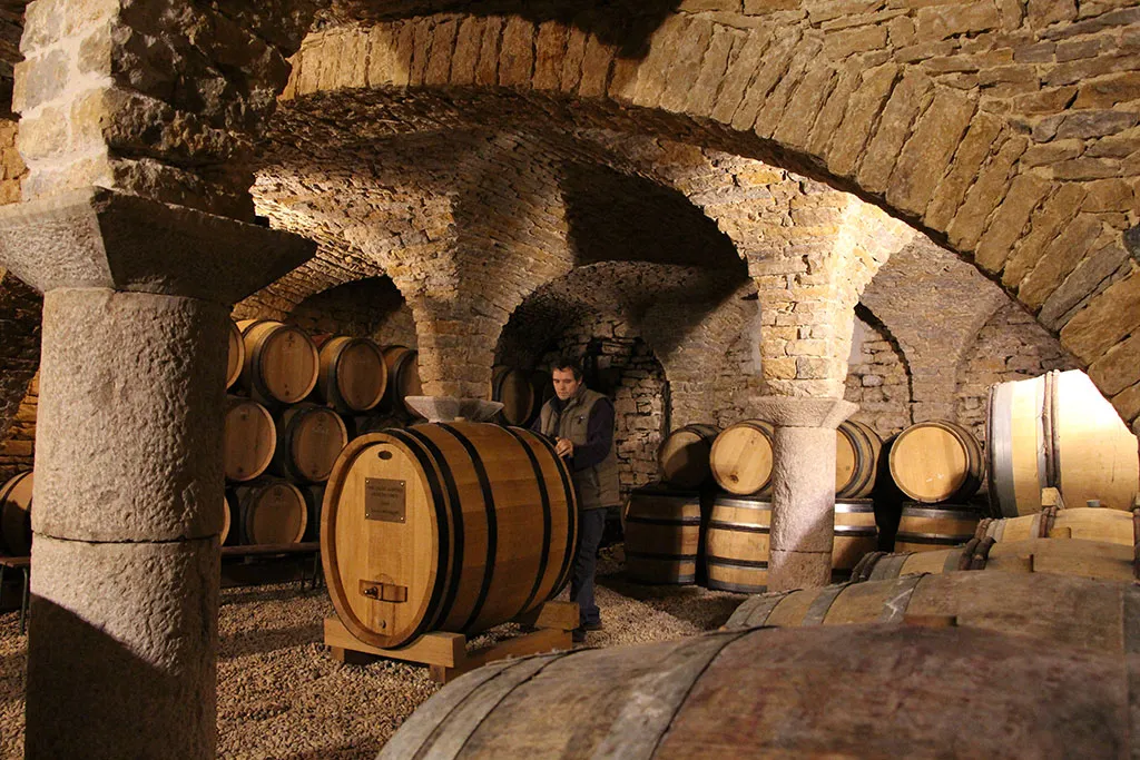 Les caves voûtées du XVIe siècle du domaine, piliers de pierre et rangées de fûts