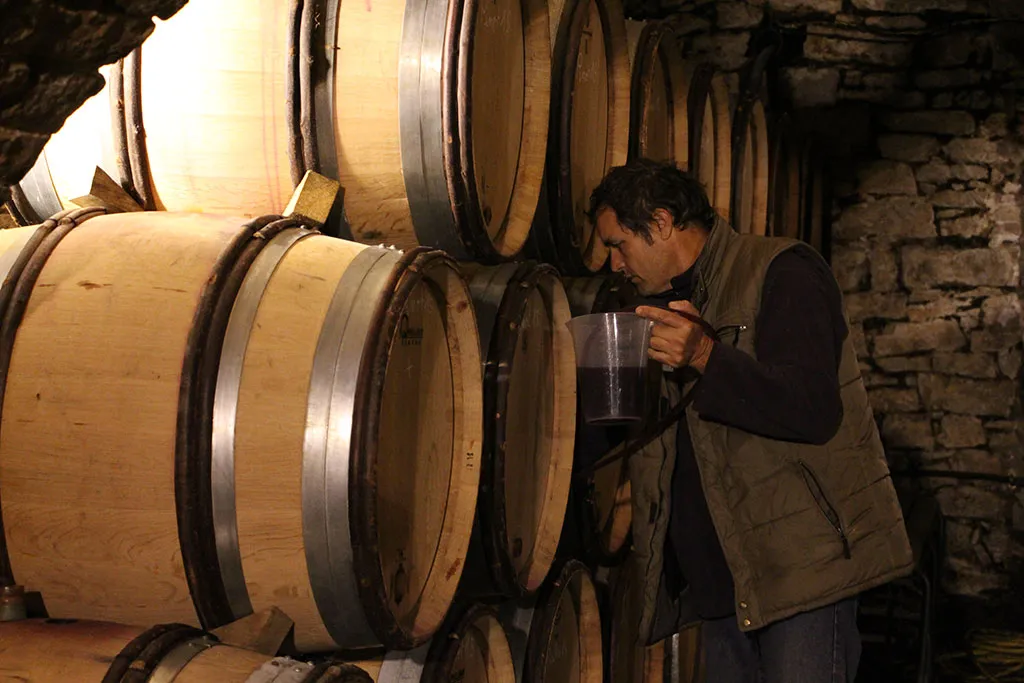 Jean-Luc Mouillard prélève du vin dans un fût